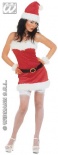 Miss Sexy Santa Costume