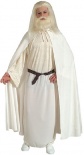 Lord of the Rings - Gandalf  The White Fancy Dress Costume