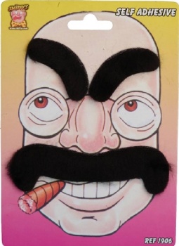 Groucho Eyebrows and Tash