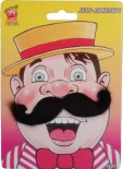 Music Hall Tash