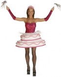 Sweet Surprise Fancy Dress Costume