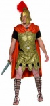 Gladiator Fancy Dress Costume