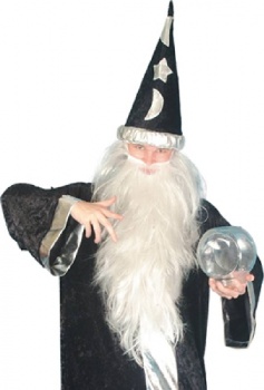 Very Long Grey Wizard Beard and Hair