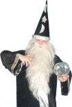 Very Long Grey Wizard Beard and Hair