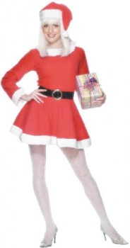 Miss Santa Costume