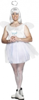 Tooth Fairy Fancy Dress Costume