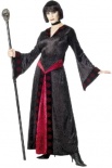 Web Queen Costume