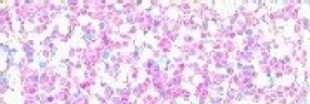 Snazaroo Glitter Gel - Star Dust