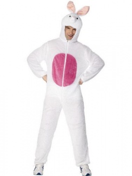 Adult - Bunny Rabbit Fancy Dress Costume