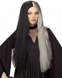 Gothic Wig - Black / Gray