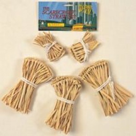 Wizard of Oz - Scarcrow - Straw