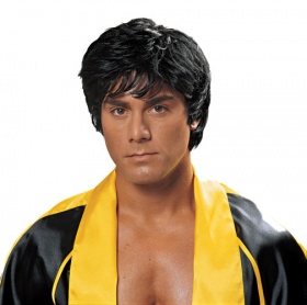 Licensed Rocky Wig