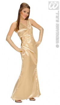 Celebrity - Gold - Fancy Dress Costume