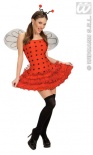 Dreamgirlz - Ladybug Fancy Dress Costume