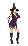 Secret Wishes - Love Lust Costume