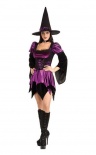 Secret Wishes - Sexy Witch
