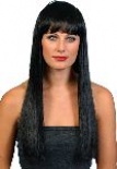 Cher Wigs 