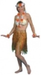 Hula / Grass Skirt 
