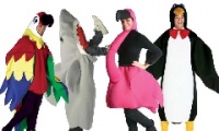 Animals 